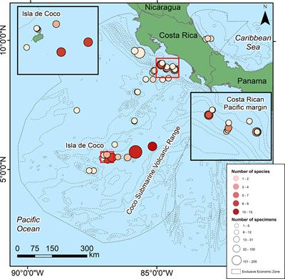 Diversity of Deep-Sea Echinoderms From Costa Rica